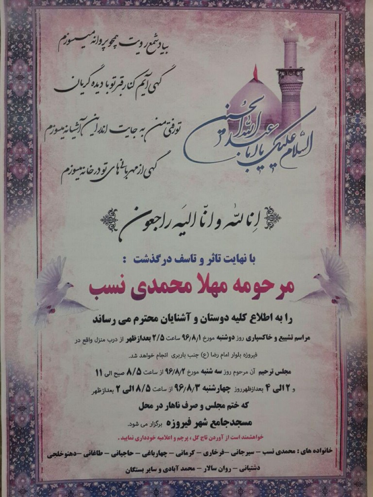 مهلا محمدی نسب